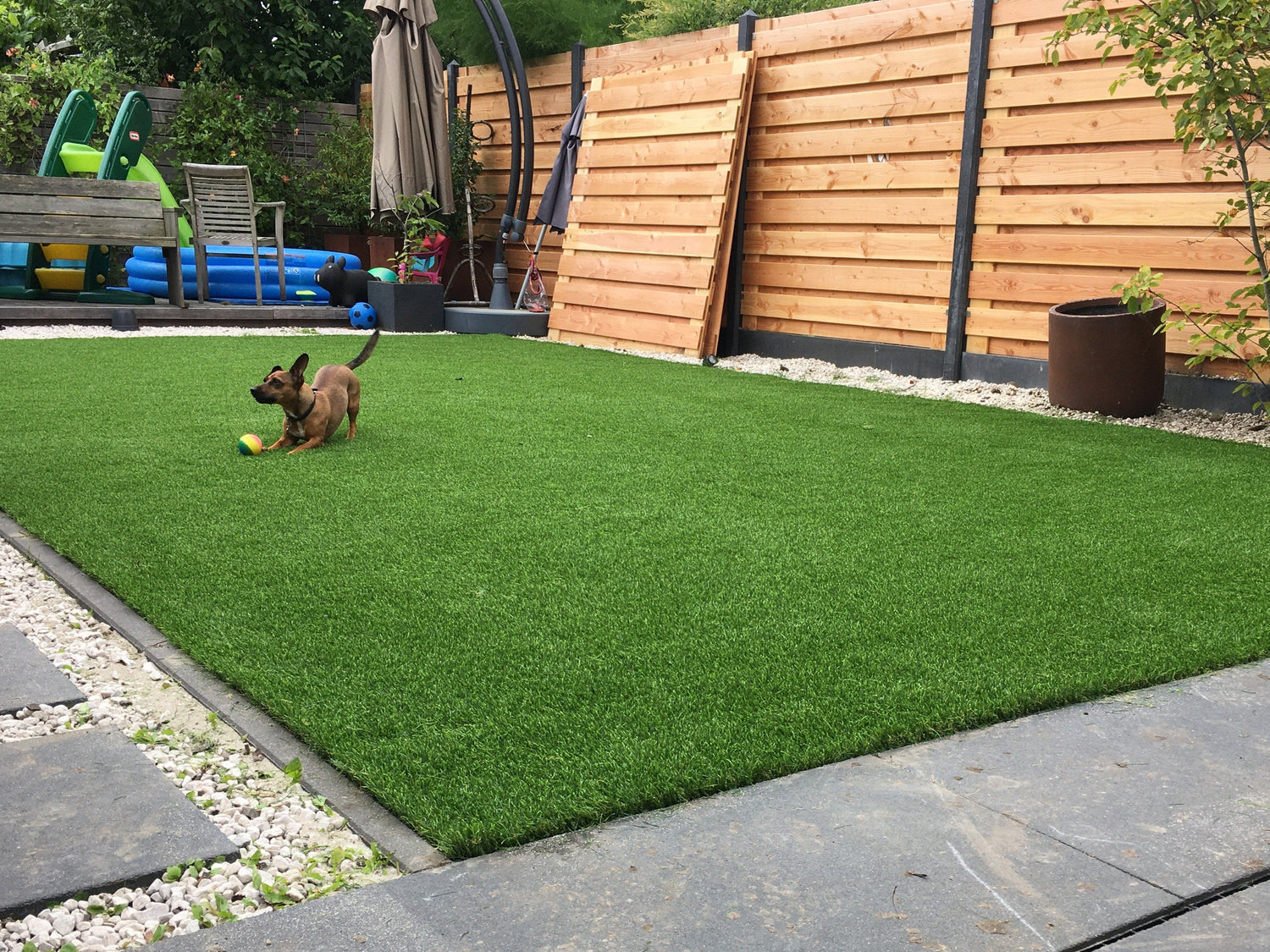 Honden spelen op kunstgras in achtertuin